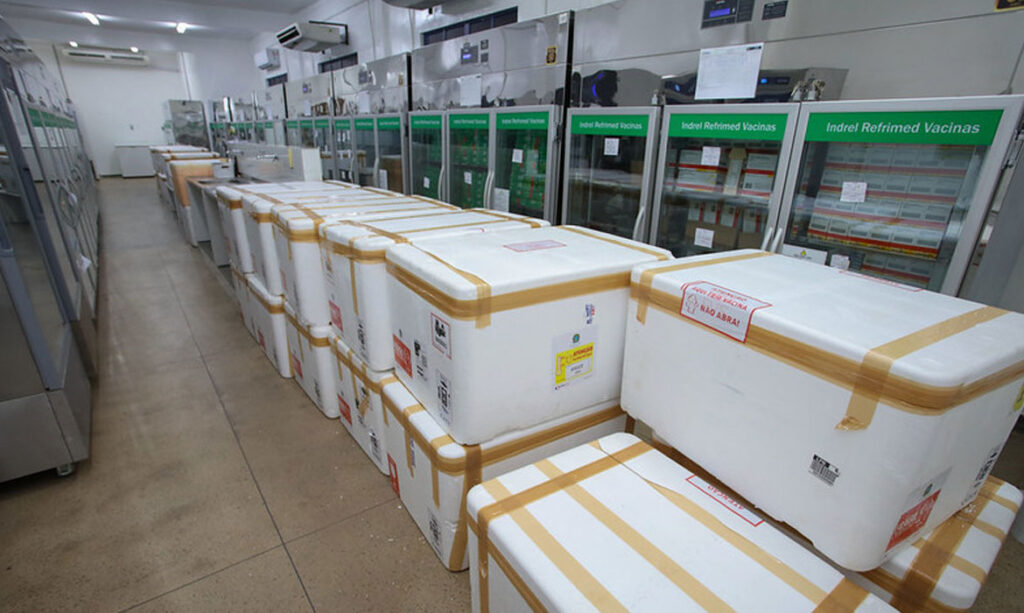 imunização de crianças de 10 e 11 anos contra dengue