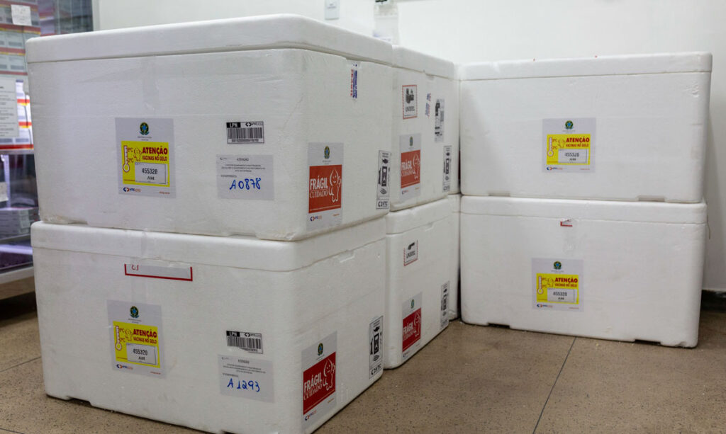 imunização de crianças de 10 e 11 anos contra dengue